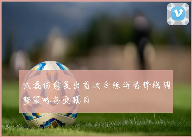 武磊伤愈复出首次合练海港锋线调整策略备受瞩目